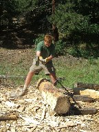 Making railroad ties at Pueblano